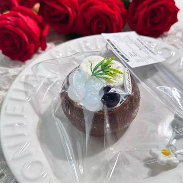 Coconut Squishy - Icy Coconut Bowl